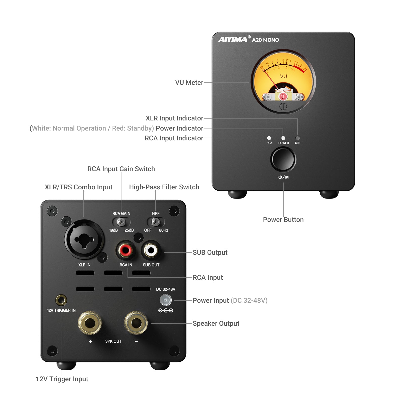 AIYIMA A20 MONO amplifier rear panel inputs and speaker outputs