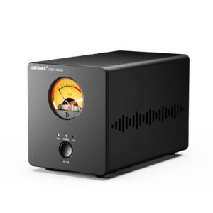 AIYIMA A20 MONO Class-D monoblock power amplifier front view