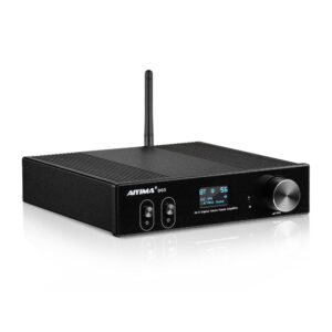 AIYIMA D03 HiFi Bluetooth 5.0 Amplifier 2.1 Channel with Sub Out